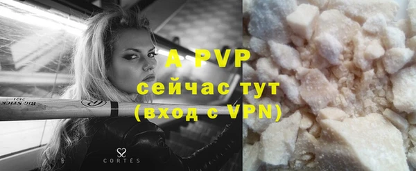 гидра Вяземский