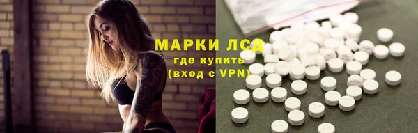 гидра Вяземский