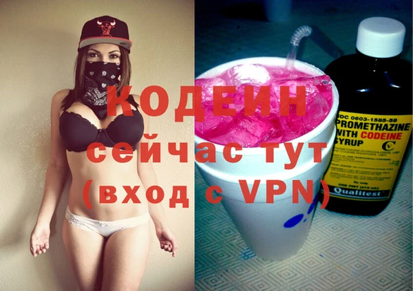 гидра Вяземский