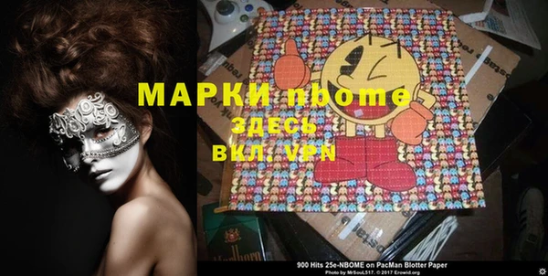 гидра Вяземский