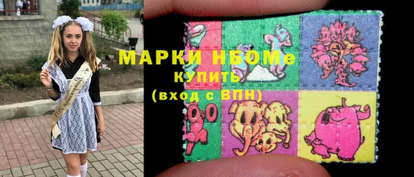 гидра Вяземский