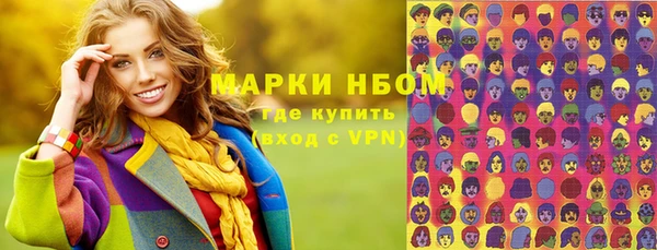 гидра Вяземский