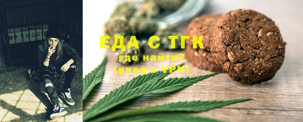 гидра Вяземский