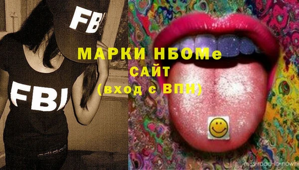 гидра Вяземский