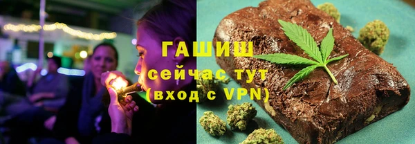 гидра Вяземский