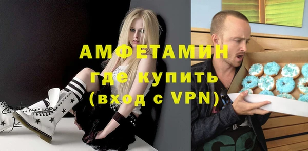 гидра Вяземский