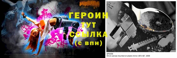 гидра Вяземский