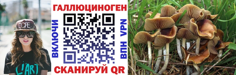 KRAKEN как зайти  Меленки  Галлюциногенные грибы прущие грибы 